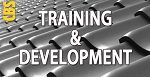 Training & Development